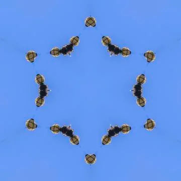 Star made fromt the tip of the State capital dome 写真素材