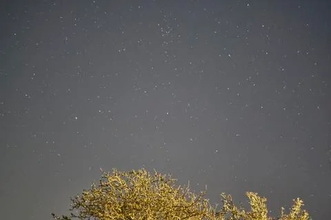 Star in the night Stock Photos