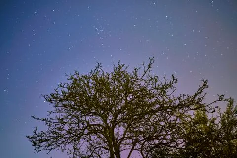 Star in the night Stock Photos