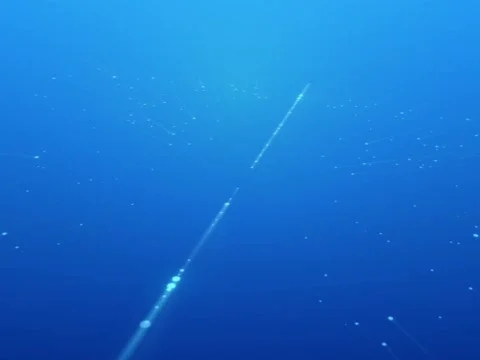 Star Path Stock Footage 490281