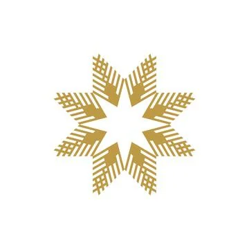 Star pattern geometric logo star icon Stock Illustration