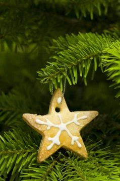 Star shape short bread cookie Stock Photos