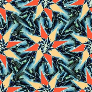 Star shaped seamless pattern design  design Иллюстрация