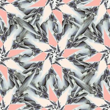 Star shaped seamless pattern design  design Иллюстрация