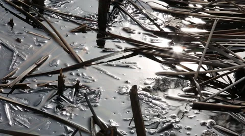 Star shaped sunlight on pond surface with ice at sunset Stock Footage 45511421