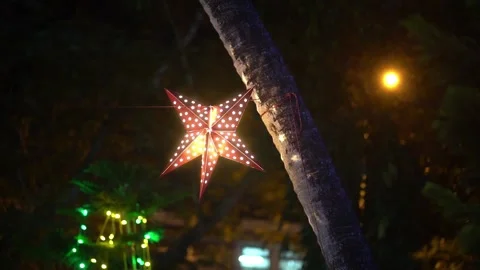 Star is shining on the coconut tree Stock Footage 146519355