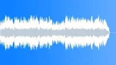 Star Spangled Banner-String Quartet Stock Music