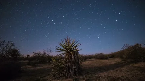 Star Time Lapse in Joshua Tree Stock Footage 168835499