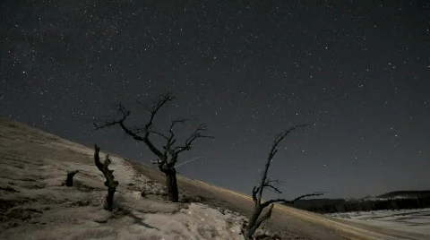Star timelapse Stock Footage 608832