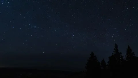 Star timelapse with pine trees and light clouds Stock Footage 310568268