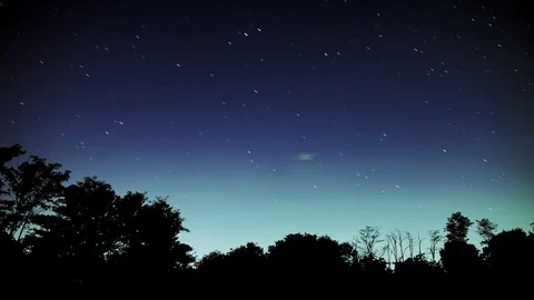 Star Trail in the Deep Night Over a Dark Forest Video stock 75516330