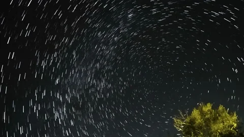 Star trail motion timelapse with Tree silhouette and night starry sky background Stock Footage 225869754