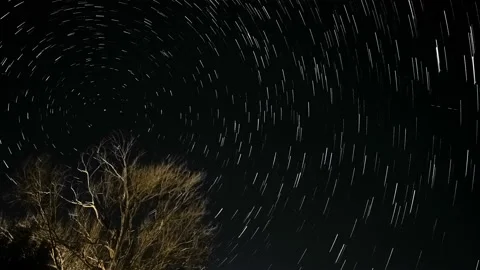 Star trail motion timelapse with Tree silhouette and night starry sky background Video stock 231699108