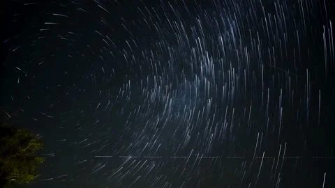 Star trail motion with Tree silhouette on night starry sky,deep universe science Stock Footage 224583601