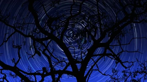 Star trail Time lapse Stock Footage 139620451