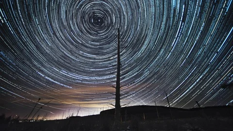 A Star trail time lapse over a single tree in the Galloway forest, Scotland Video stock 90951045