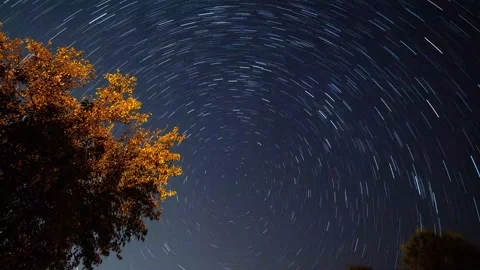 Star Trail Time-lapse  with Tree in Oklahoma, 4K 库存影片 145822207
