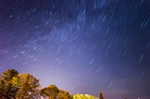 Star Trails above the Trees 写真素材