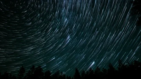Star trails create mesmerizing patterns over a dark forest at night Stock Footage 308784513