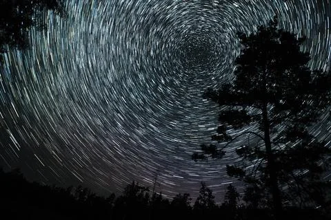 Star trails create mesmerizing patterns above a forest during a clear night sky Foto stock