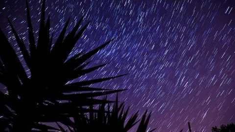 Star Trails Stock Footage 98494909