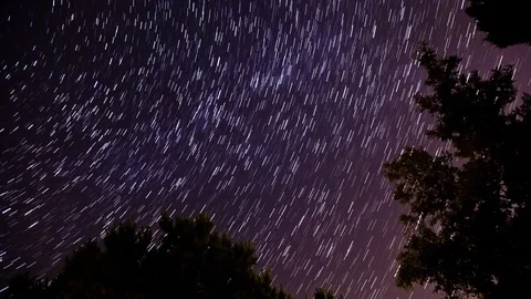 Star Trails Stock Footage 98494910