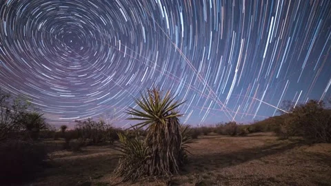 Star Trails in Joshua Tree Stock Footage 168835508