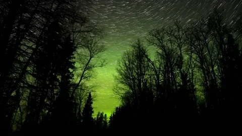 Star trails move through a green Aurora lit sky with a foreground of trees Stock Footage 169047614