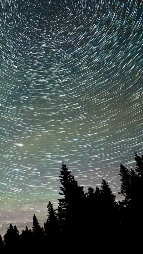 Star trails in the night sky above a silhouette of spruce and pint trees.  Stock Footage 293079277