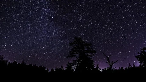 Star trails in the night sky Stock Footage 103300675