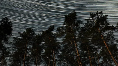 Star trails in the night sky Stock Footage 250238394