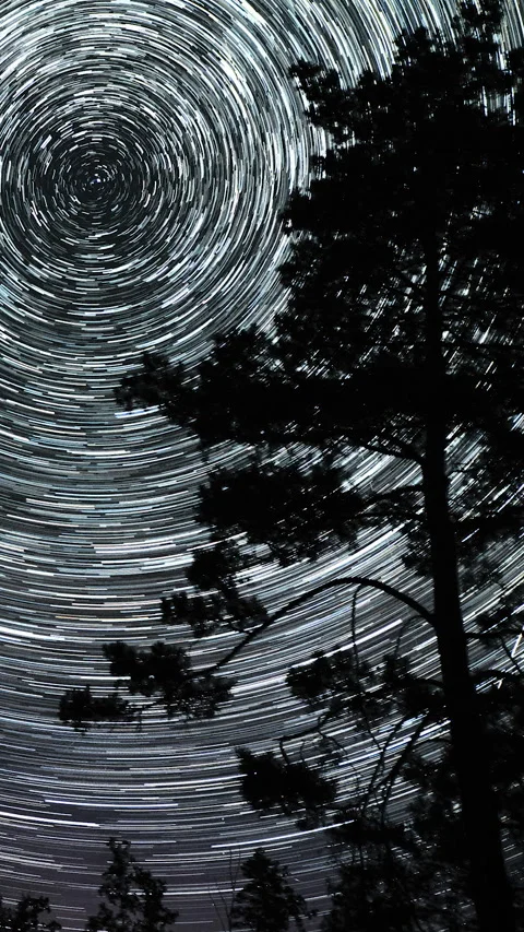 Star trails in the night sky Stock Footage 269337349