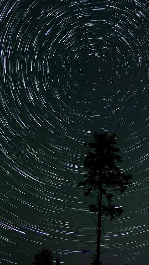 Star trails in the night sky Stock Footage 295930098