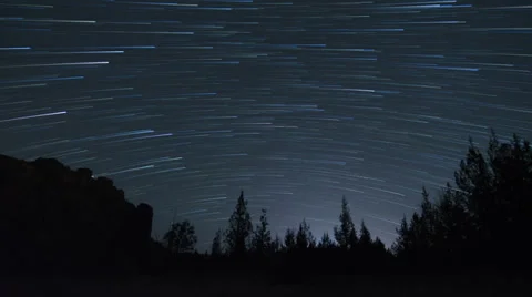 Star Trails - Night Sky Time Lapse with Tree Silhouette Stock Footage 38403145