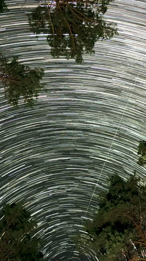 Star Trails Over Forest At Night With Long Exposure Video stock 325492840