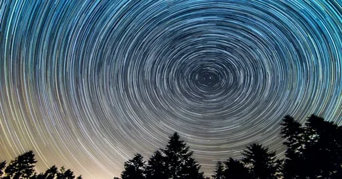 Star trails over the night sky, Time lapse of star trail, pine trees in front Stock Footage 83434937