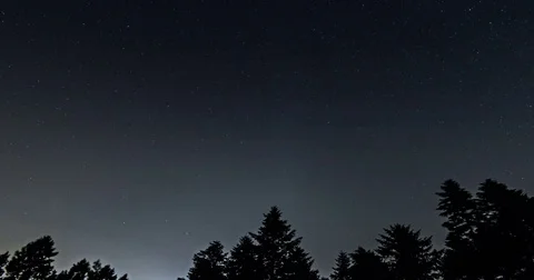 Star trails over the night sky, Time lapse of star trail, pine trees in front Stock Footage 83435673