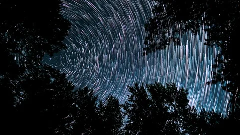 Star trails spinning above forest silhouettes in dramatic night sky Video stock 336439095