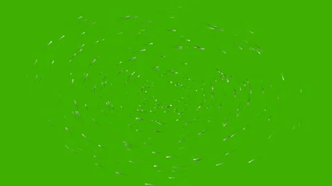 Star trails spinning on green screen overlay 4K Vídeos de archivo 336513676