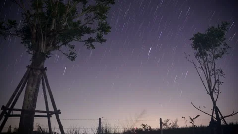 Star Trails Time Lapse and trees in the garden Video stock 168236285