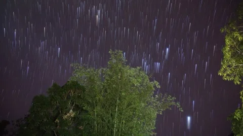 Star trails time lapse with bamboo tree at foreground Video stock 44210402