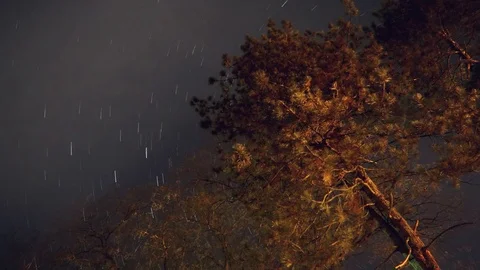 Star trails time lapse Stock Footage 82875241