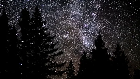 Star Trails time lapse of the Milky Way with pine tree silhouettes  Stock Footage 118394749