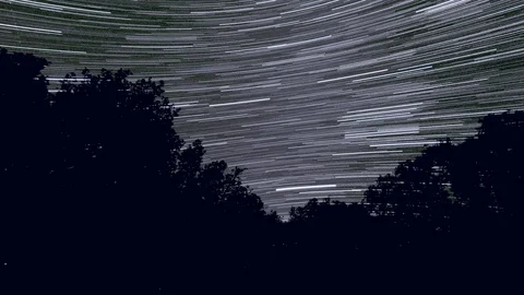 Star Trails. Timelapse effect. Stars in the nigh night, trees in foreground Stock Footage 101099271