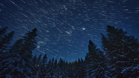 Star Trails Timelapse: Winter Starry Night Sky with Comet Effect Over winter 스톡 동영상 321751290