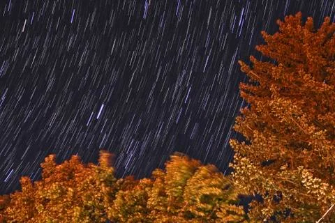 Star trails with a tree Stock Photos