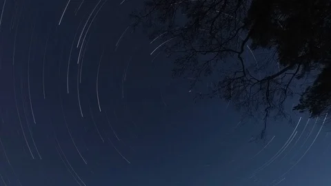Star trails whole night until to sunrise night time lapse. Sky and tree shadow Stock Footage 89028868