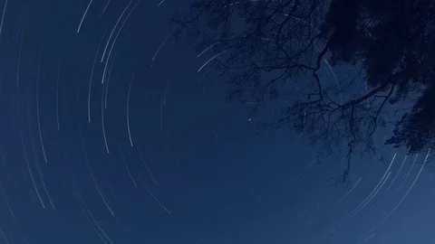 Star trails whole night until to sunrise night time lapse. Sky and tree shadow Stock Footage 89028869