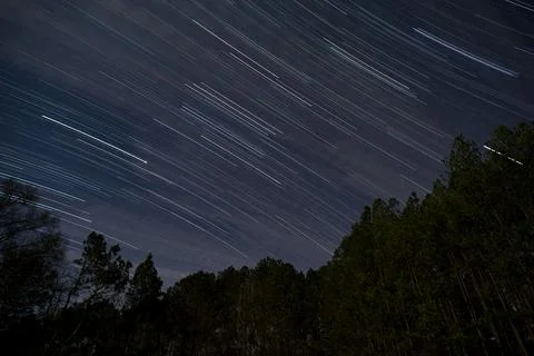 Star Trails2, Winter Stock Photos