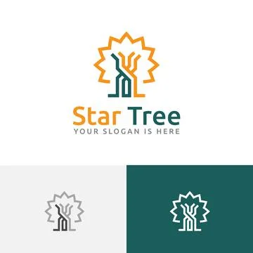 Star Tree Forest Nature Simple Line Business Logo Stock Illustration